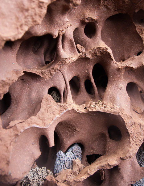 Les termitières révèlent le secret de la création de bâtiments "vivants et respirants" qui consomment moins d'énergie