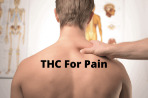 痛みに対するTHC：効果、利点、用途 - Hail Mary Jane ®
