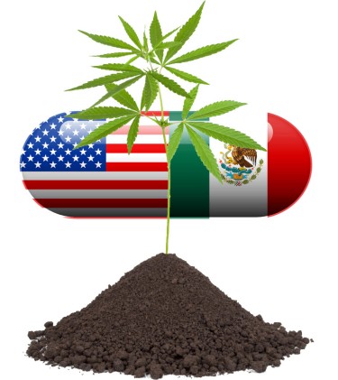The DEA vs. Mexican Politicians - Things Could Get Real Ugly, Real Fast