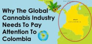 Cannabis' fremtid er Latin- og Sydamerika - her er, hvordan det vil hjælpe deres økonomier