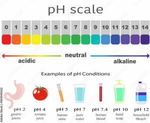 Vloga pH pri kalitvi semena konoplje