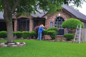 Top Landscaping Projects to Increase Your Home's Value! - Supply Chain Game Changer™
