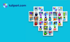 Tulipart.com টিউলিপ এনএফটি-এর একটি সংগ্রহ চালু করেছে যা 7 বছরেরও বেশি সময় ধরে প্রতিদিন তৈরি করা হয়েছে