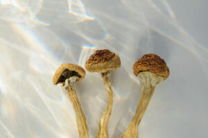UK Lawmakers Mull Psychedelics Reform