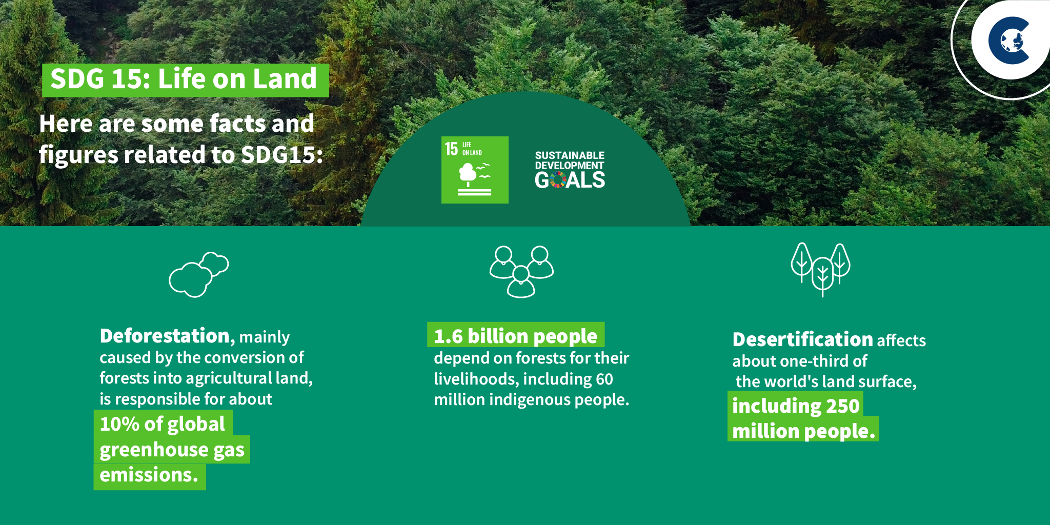 Az erdősítés és az újraerdősítés megértése: következmények az önkéntes szénpiacra – ClimateTrade