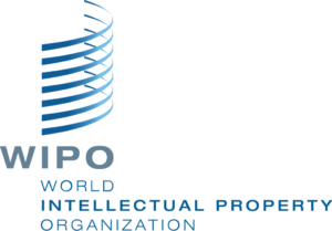 Förstå den internationella guiden till hantering av patentärenden för domare av WIPO