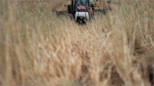 ZDA in ZAE so objavili, da se je sklad za podnebno kmetovanje povečal na 13 milijard dolarjev
