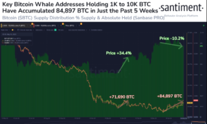As baleias acumulam quase 85 mil Bitcoins, mas o preço do BTC permanece inalterado - o que vem a seguir?