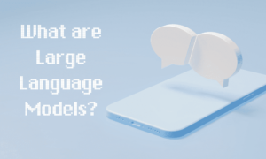 Que sont les grands modèles de langage et comment fonctionnent-ils ?