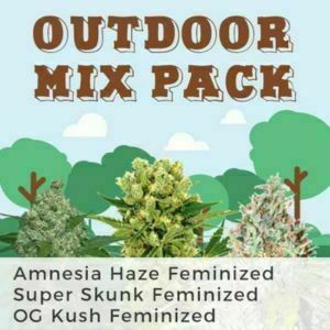 Outdoor Marijuana Seeds Mix Pack