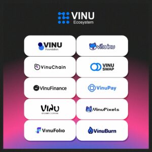 Що таке VINU і як з його допомогою отримати прибуток? – CoinRabbit