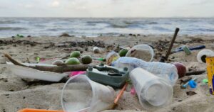 لماذا قدم CDP التقارير البلاستيكية | جرين بيز