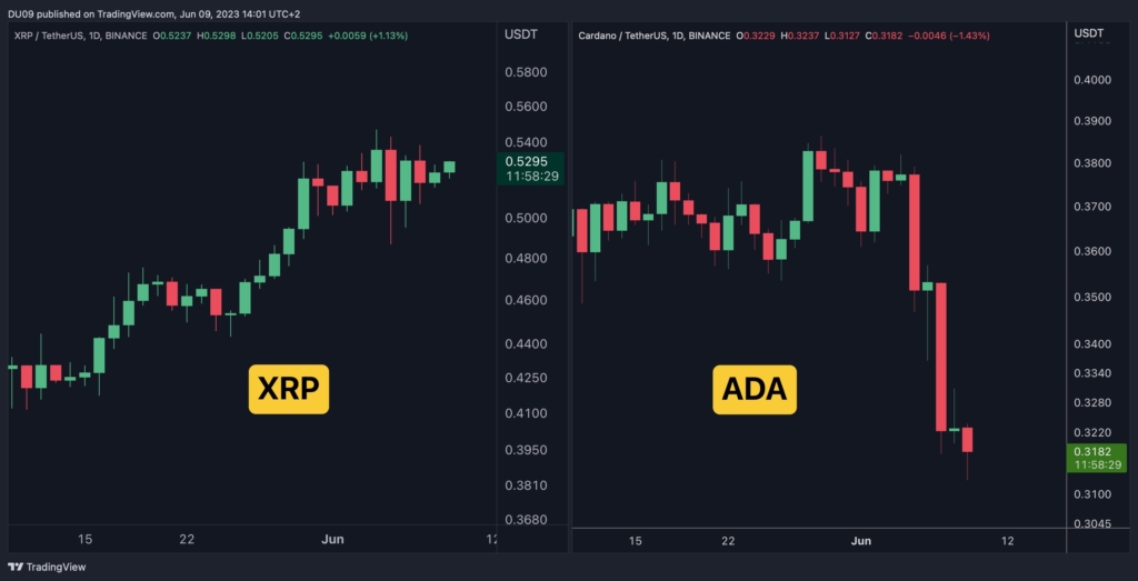 Source : Tradingview XRP vs ADA