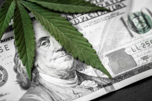 加州机构向 50 个组织提供超过 31 万美元的大麻税收基金