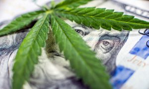 hur kostnaden för cannabis kommer att upphäva den svarta marknaden för marijuana