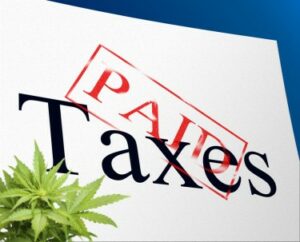 Калифорния усилила контроль за невыплаченными налогами на каннабис, теперь сообщает, что 94% акцизных налогов на каннабис уплачены