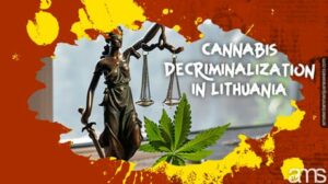 Cannabis afkriminalisering: Litauens progressive skridt