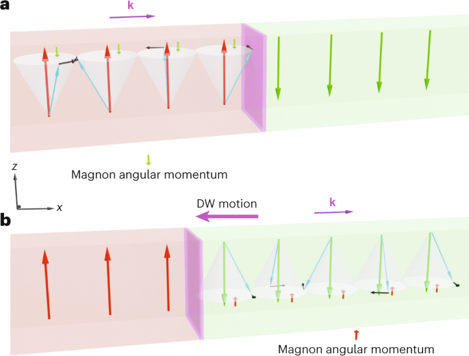 Когерентні спінові хвилі, що керують рухом доменної стінки в ізоляторах - Nature Nanotechnology