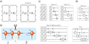 Entanglement entropy production in Quantum Neural Networks