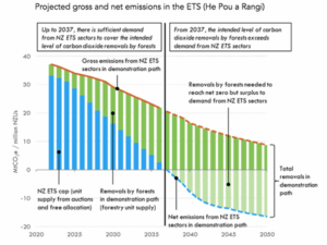 A revisão florestal do ETS é crítica para atingir as metas de emissões
