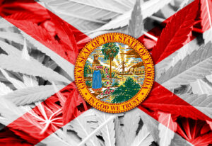 フロリダ州最高裁判所が成人向け大麻の措置を検討