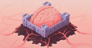 Πώς ο εγκέφαλος προστατεύεται από τις αιματογενείς απειλές | Περιοδικό Quanta
