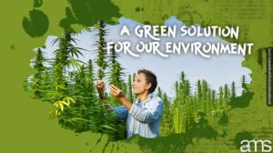 Industriell hampa: en grön lösning för vår miljö och branscher