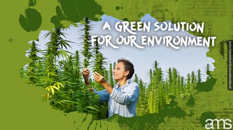Chanvre industriel : une solution verte pour notre environnement et nos industries