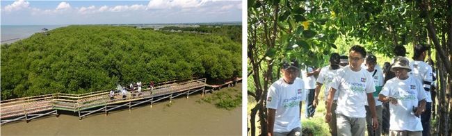 वृक्षारोपण (जुलाई 2022 में खींची गई तस्वीर); पीटी जेसीबी इंटरनेशनल इंडोनेशिया के कर्मचारी जंगल का दौरा कर रहे हैं