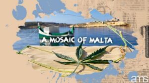 몰타의 대마초 항해: 바다에서 씨앗까지