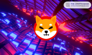Merchants in Latin America Can Now Accept Shiba Inu Payments