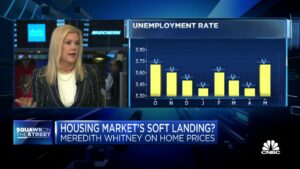 Meredith Whitney Advisory Group CEO: Not worried about a big downturn in the economy and housing
