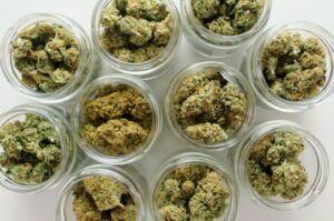 Nytt Illinois-budsjett inkluderer avsetninger for cannabisbedrifter