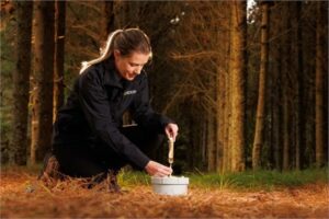 New research looks at methane-munching microorganisms in forest soils
