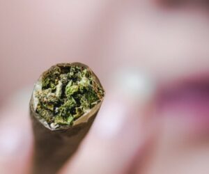 Betala någon annan för att rulla din joint, du satsar! - Cannabis Pre-Roll-försäljningen växer snabbare än alla andra cannabisproduktkategorier