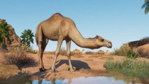 Planet Zoo feels the heat later this month with new Arid Animal Pack DLC