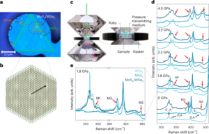 Pressure tuning of minibands in MoS2/WSe2 heterostructures revealed by moiré phonons - Nature Nanotechnology