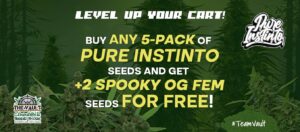 Pure Instinto – Mua 5 gói Fem bất kỳ và nhận 2 hạt giống Spooky OG Fem MIỄN PHÍ!