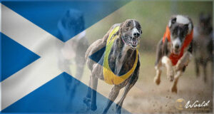 De Schotse eerste minister belooft een petitie om een ​​einde te maken aan de hondenraces te beoordelen