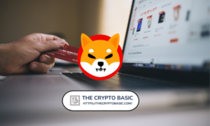 Shiba Inu Now Accepted by 440+ Merchants in France