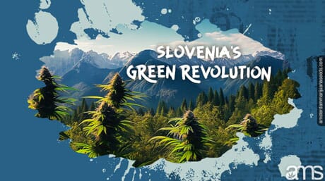 Slovenya'nın Yeşil Devrimi: Bir Esrar Destanı | AMS