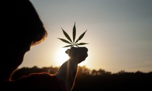 Solstice And Cannabis - A Mystical Partnership