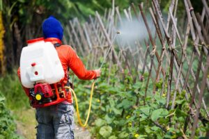 Obetavna študija za odkrivanje pesticidov pri nizkih koncentracijah SERS | Envirotec