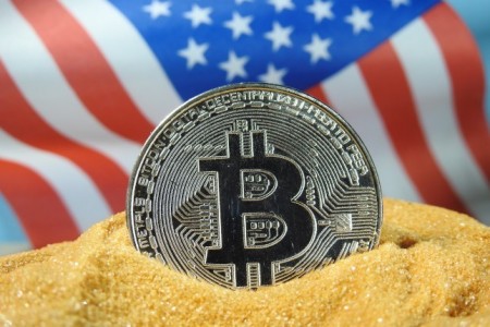 Vara ETF-urilor Bitcoin: șapte fonduri tranzacționate la bursă care caută aprobare