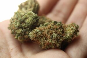 Asjad, mida Vancouveris marihuaana kohaletoimetamisel meeles pidada