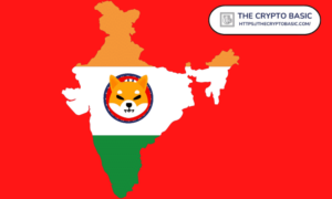 Top Analytic Firm Reveals Shiba Inu Role in Indian-based Humanitarian Efforts