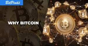 Comprender Bitcoin: qué es, cómo funciona y por qué es importante | bitpinas