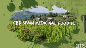 Razkritje CBD Španija: Čarobnost narave, polna inovacij