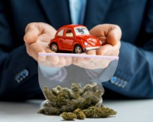 Doriți să economisiți 22 USD per șofer la primele de asigurare auto? Legalizarea canabisului în statul tău spune un nou studiu