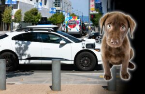 Mobil self-driving Waymo membunuh seekor anjing di San Francisco